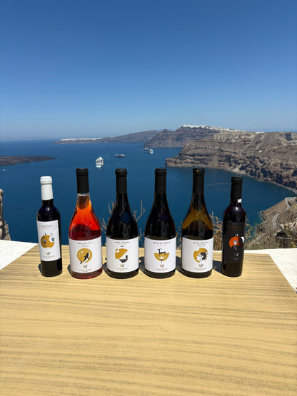 Venetsanos Oak Santorini Assyrtiko 2019 (750ml)
